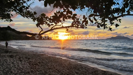 tropical island sunset