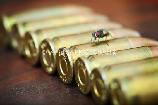 Bullets