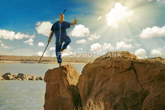 kung fu master
