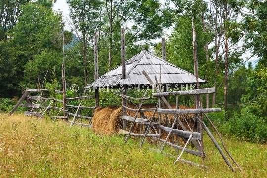 Drying the hay