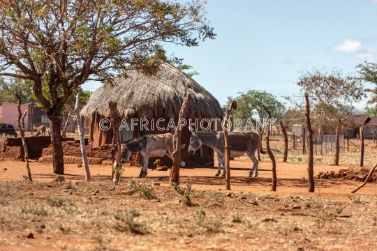 African house in the village 