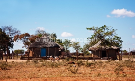 typical african traditional household