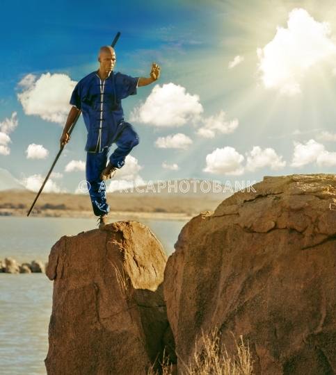 kung fu master