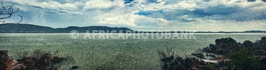 Rain landscape