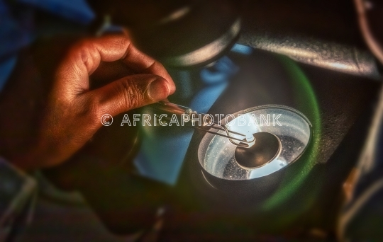 grading clarity on diamonds