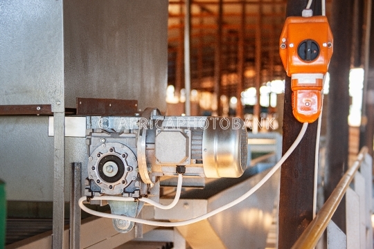 Electric motor
