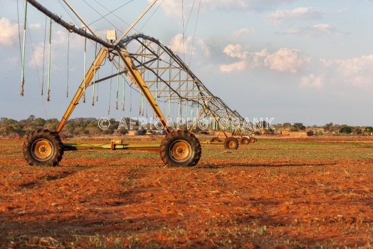Irrigation