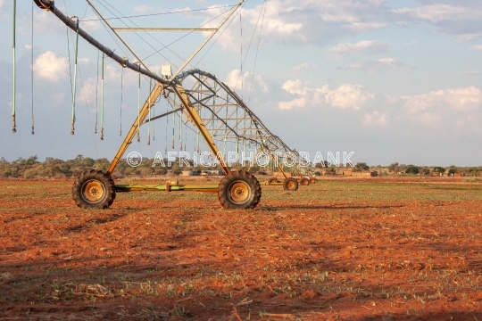 Irrigation