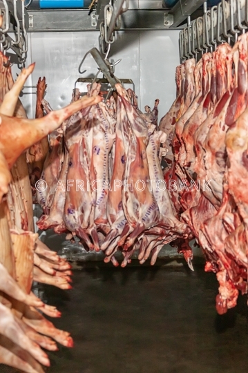 slaughterhouse
