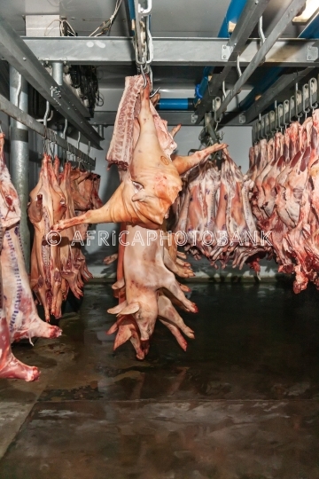 slaughterhouse