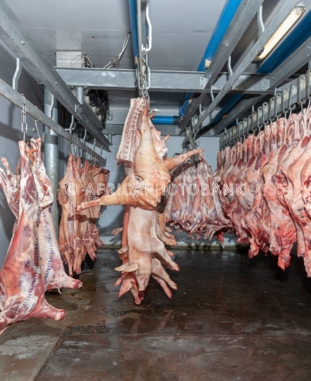 slaughterhouse