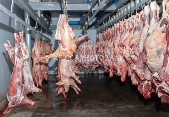 slaughterhouse