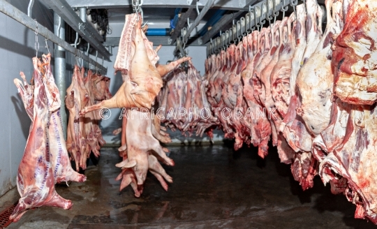 slaughterhouse