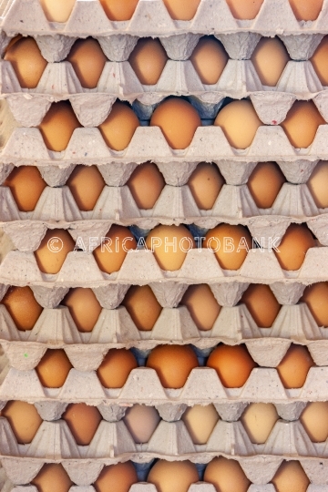 Carton eggs
