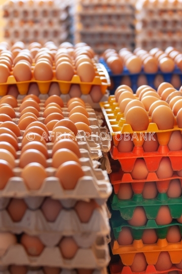 Carton eggs