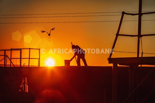 Working sunrise
