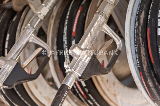 130A4026facut