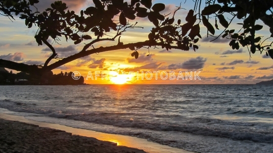tropical island sunset