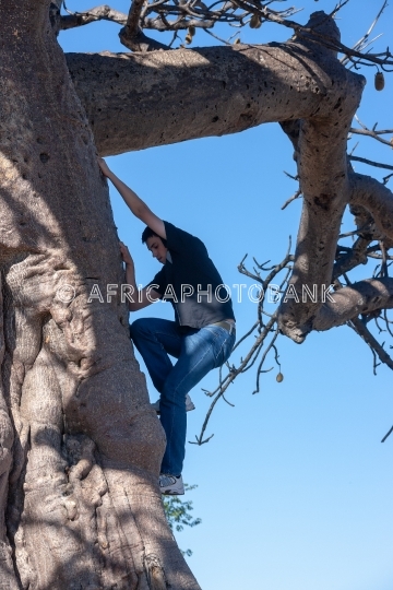 Baobab climb