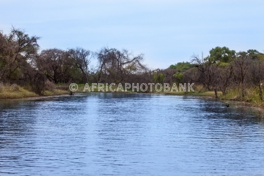 Channel in Okavango Delta