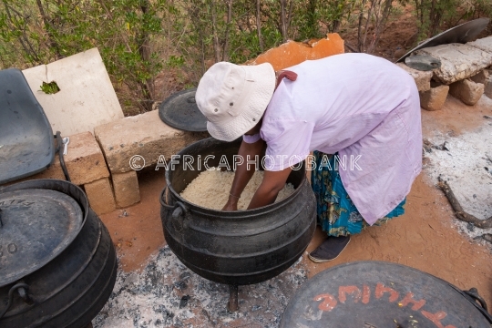 African food