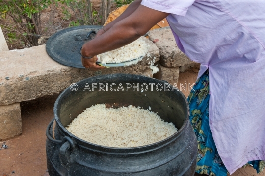 African food