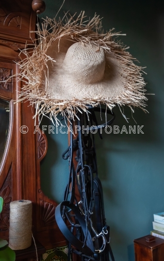 horse harness