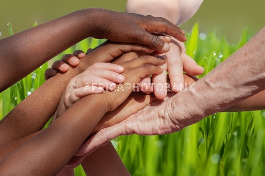 multiracial hands