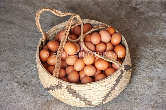 eggs basket