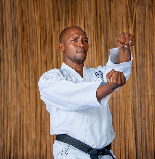 karate kick